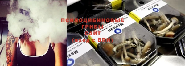 apvp Алексеевка