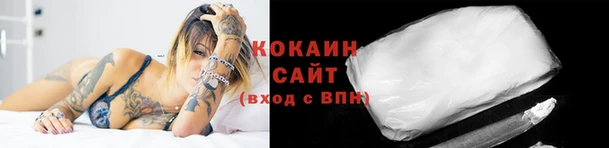 ПСИЛОЦИБИНОВЫЕ ГРИБЫ Алексин