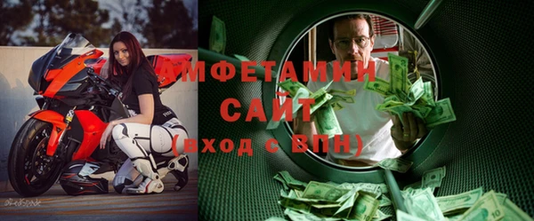 индика Сатка