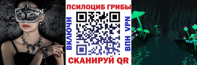 Псилоцибиновые грибы MAGIC MUSHROOMS  купить  цена  Льгов 